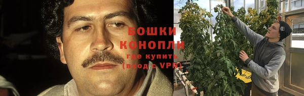 тгк Корсаков