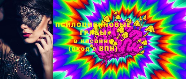 тгк Корсаков