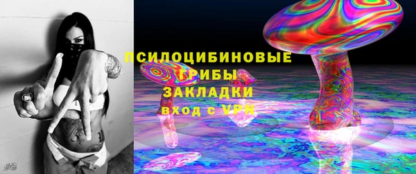 тгк Корсаков